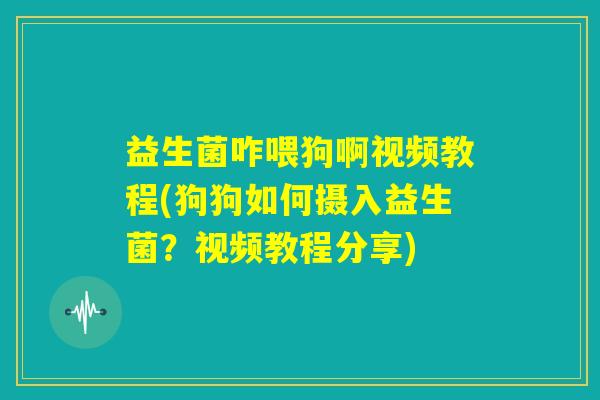 益生菌咋喂狗啊视频教程(狗狗如何摄入益生菌?视频教程分享) 益生菌咋喂狗啊视频教程(狗狗如何摄入益生菌?视频教程分享)