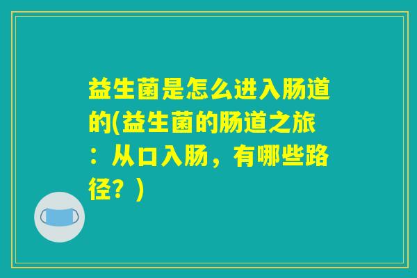 益生菌是怎么进入肠道的(益生菌的肠道之旅:从口入肠,有哪些路径?) 益生菌是怎么进入肠道的(益生菌的肠道之旅:从口入肠,有哪些路径?)