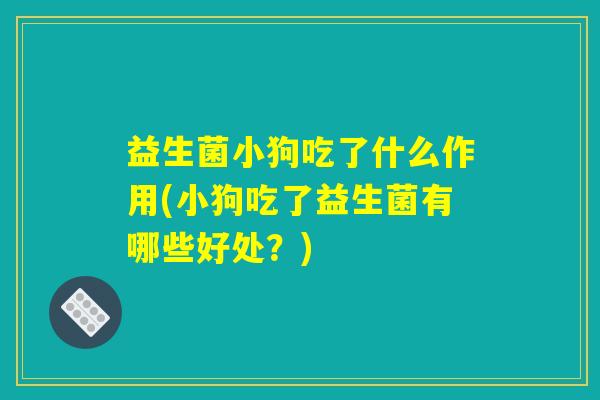 益生菌小狗吃了什么作用(小狗吃了益生菌有哪些好处?) 益生菌小狗吃了什么作用(小狗吃了益生菌有哪些好处?)