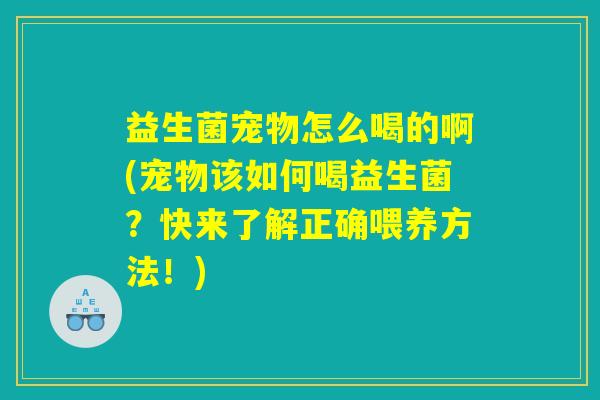 益生菌宠物怎么喝的啊(宠物该如何喝益生菌？快来了解正确喂养方法！)