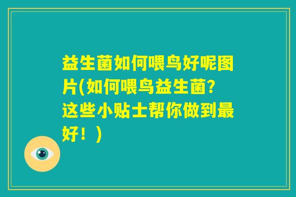 益生菌如何喂鸟好呢图片(如何喂鸟益生菌？这些小贴士帮你做到最好！)