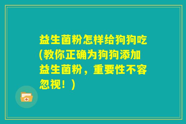 益生菌粉怎样给狗狗吃(教你正确为狗狗添加益生菌粉，重要性不容忽视！)