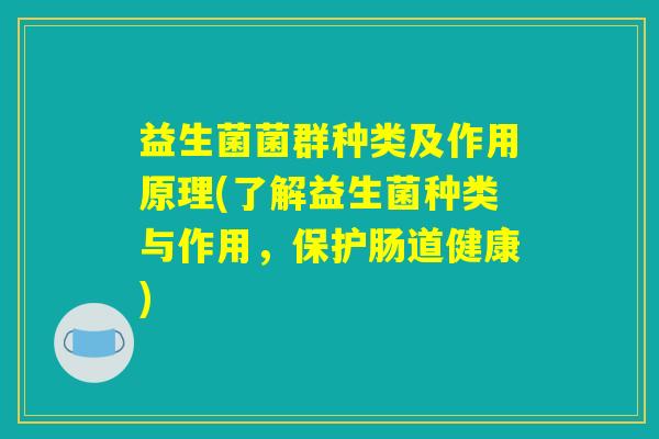 益生菌菌群种类及作用原理(了解益生菌种类与作用，保护肠道健康)
