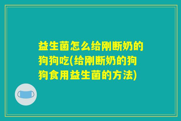 益生菌怎么给刚断奶的狗狗吃(给刚断奶的狗狗食用益生菌的方法)