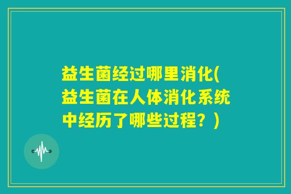 益生菌经过哪里消化(益生菌在人体消化系统中经历了哪些过程？)