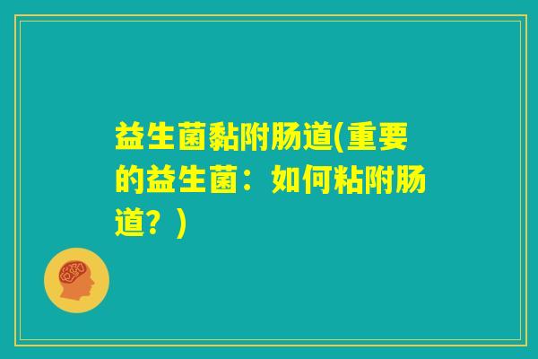 益生菌黏附肠道(重要的益生菌：如何粘附肠道？)