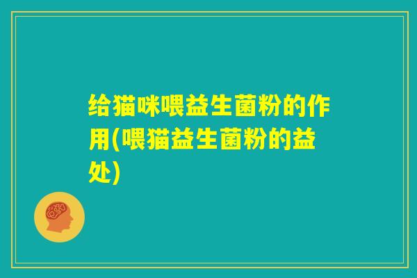给猫咪喂益生菌粉的作用(喂猫益生菌粉的益处)