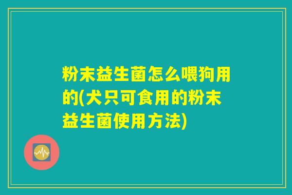 粉末益生菌怎么喂狗用的(犬只可食用的粉末益生菌使用方法)