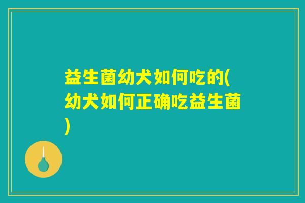 益生菌幼犬如何吃的(幼犬如何正确吃益生菌)