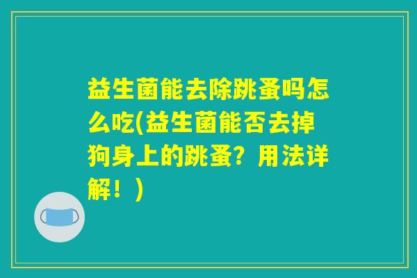 益生菌能去除跳蚤吗怎么吃(益生菌能否去掉狗身上的跳蚤？用法详解！)