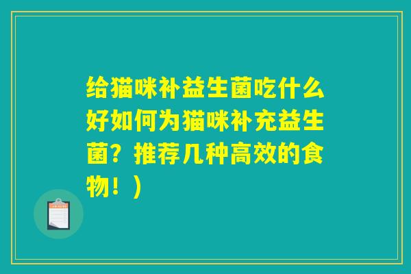 给猫咪补益生菌吃什么好如何为猫咪补充益生菌?推荐几种高效的食物!) 给猫咪补益生菌吃什么好如何为猫咪补充益生菌?推荐几种高效的食物!)