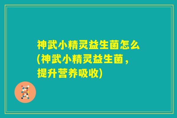 神武小精灵益生菌怎么(神武小精灵益生菌，提升营养吸收)