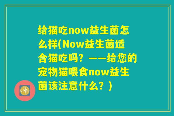给猫吃now益生菌怎么样(Now益生菌适合猫吃吗？——给您的宠物猫喂食now益生菌该注意什么？)