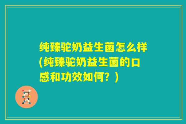 纯臻驼奶益生菌怎么样(纯臻驼奶益生菌的口感和功效如何?) 纯臻驼奶益生菌怎么样(纯臻驼奶益生菌的口感和功效如何?)