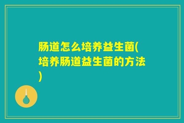肠道怎么培养益生菌(培养肠道益生菌的方法)