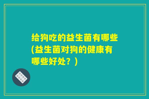 给狗吃的益生菌有哪些(益生菌对狗的健康有哪些好处?) 给狗吃的益生菌有哪些(益生菌对狗的健康有哪些好处?)