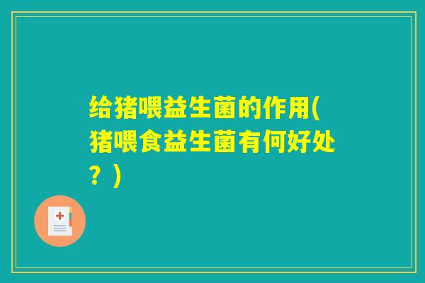 给猪喂益生菌的作用(猪喂食益生菌有何好处？)