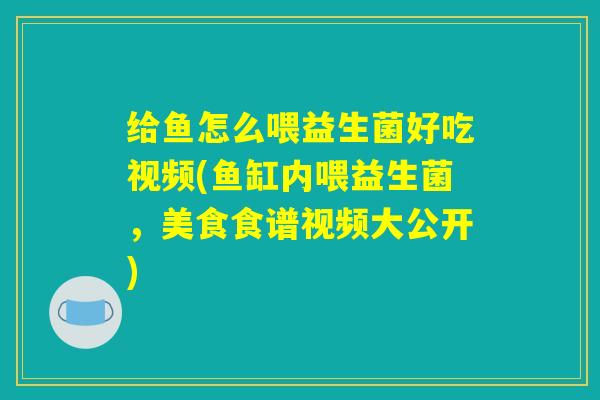 给鱼怎么喂益生菌好吃视频(鱼缸内喂益生菌，美食食谱视频大公开)