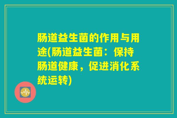 肠道益生菌的作用与用途(肠道益生菌：保持肠道健康，促进消化系统运转)