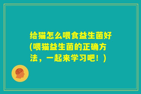 给猫怎么喂食益生菌好(喂猫益生菌的正确方法，一起来学习吧！)