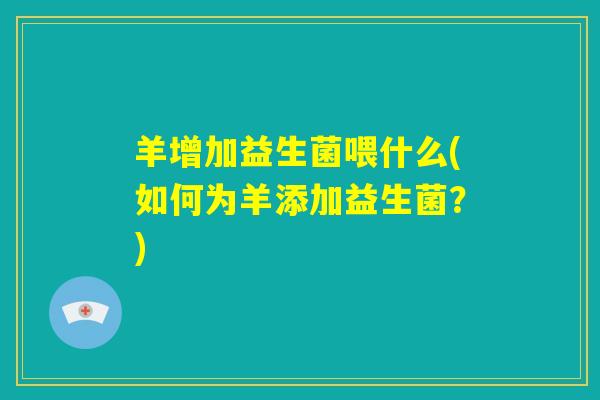 羊增加益生菌喂什么(如何为羊添加益生菌？)
