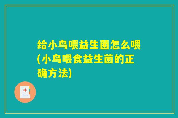 给小鸟喂益生菌怎么喂(小鸟喂食益生菌的正确方法)
