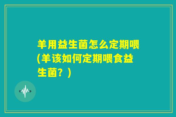 羊用益生菌怎么定期喂(羊该如何定期喂食益生菌？)