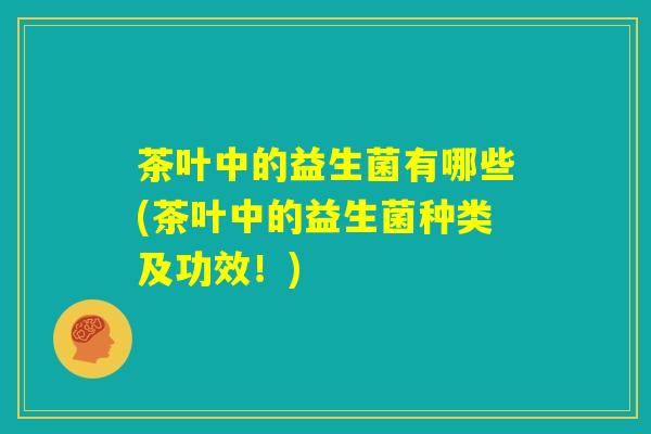 茶叶中的益生菌有哪些(茶叶中的益生菌种类及功效！)