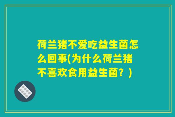 荷兰猪不爱吃益生菌怎么回事(为什么荷兰猪不喜欢食用益生菌？)