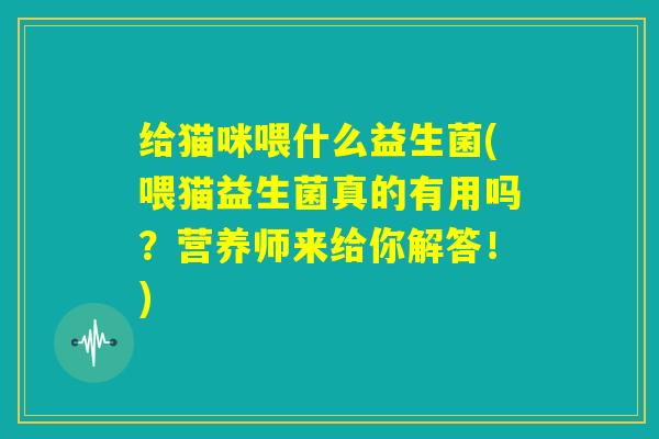 给猫咪喂什么益生菌(喂猫益生菌真的有用吗？营养师来给你解答！)