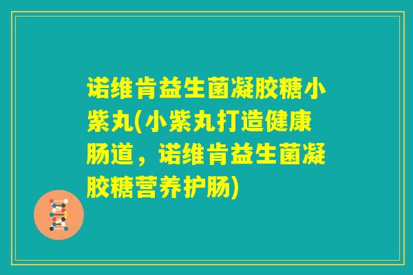 诺维肯益生菌凝胶糖小紫丸(小紫丸打造健康肠道，诺维肯益生菌凝胶糖营养护肠)