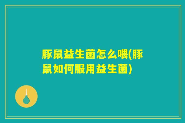 豚鼠益生菌怎么喂(豚鼠如何服用益生菌) 豚鼠益生菌怎么喂(豚鼠如何服用益生菌)