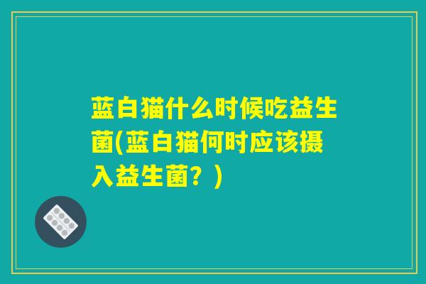 蓝白猫什么时候吃益生菌(蓝白猫何时应该摄入益生菌？)