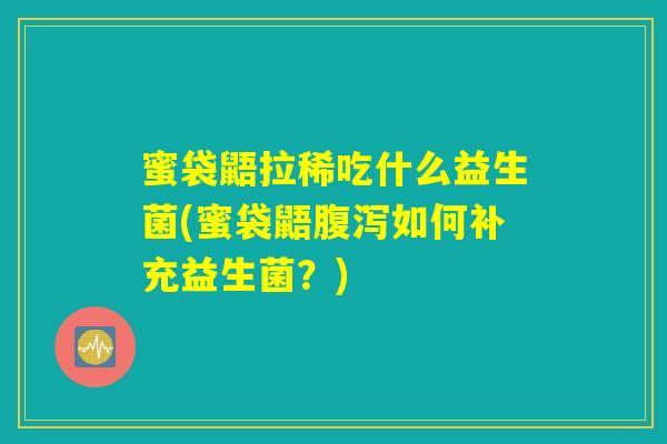蜜袋鼯拉稀吃什么益生菌(蜜袋鼯腹泻如何补充益生菌？)