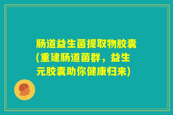 肠道益生菌提取物胶囊(重建肠道菌群，益生元胶囊助你健康归来)