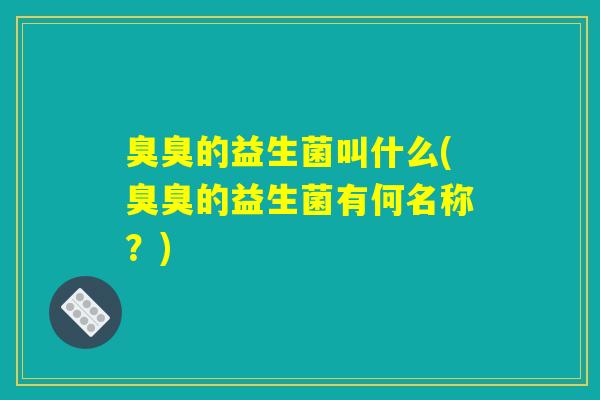 臭臭的益生菌叫什么(臭臭的益生菌有何名称？)