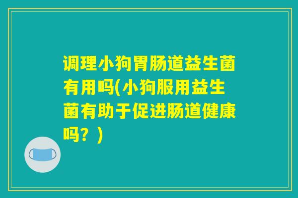 调理小狗胃肠道益生菌有用吗(小狗服用益生菌有助于促进肠道健康吗？)