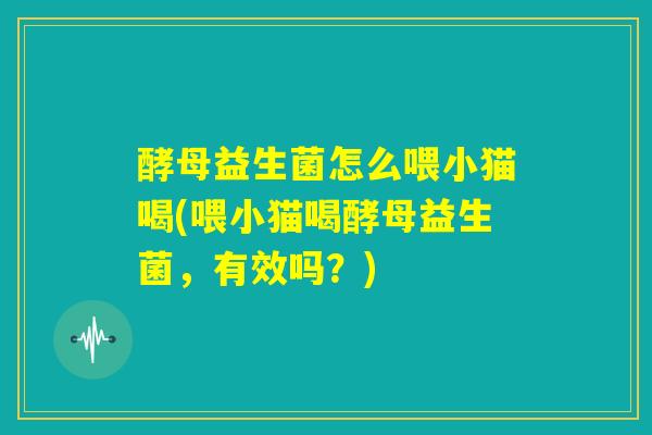 酵母益生菌怎么喂小猫喝(喂小猫喝酵母益生菌，有效吗？)