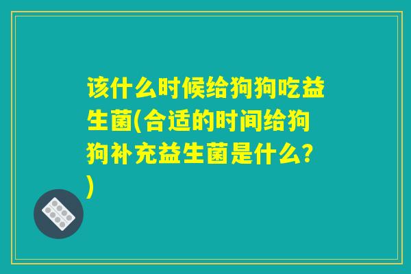 该什么时候给狗狗吃益生菌(合适的时间给狗狗补充益生菌是什么?) 该什么时候给狗狗吃益生菌(合适的时间给狗狗补充益生菌是什么?)