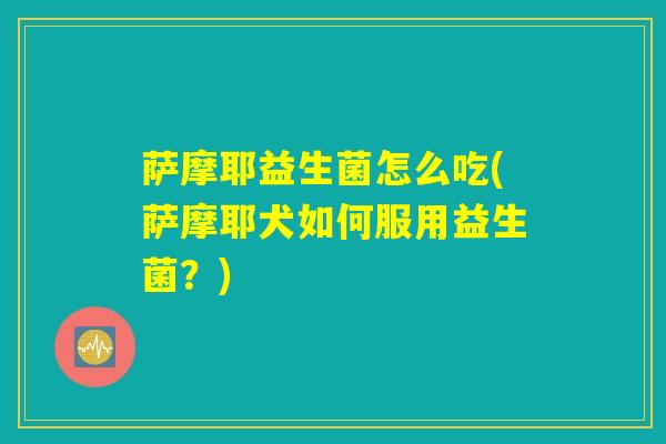 萨摩耶益生菌怎么吃(萨摩耶犬如何服用益生菌？)