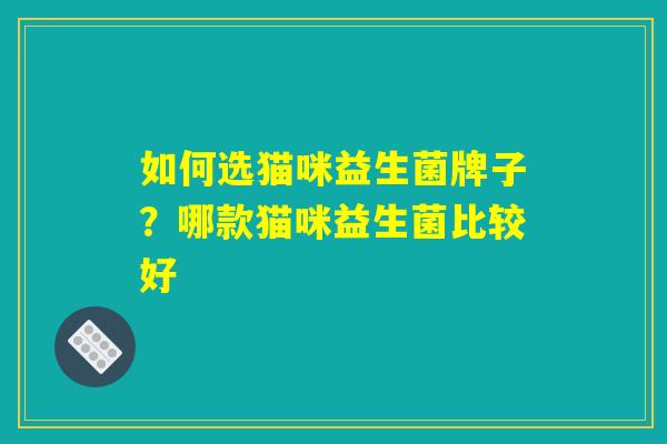 如何选猫咪益生菌牌子？哪款猫咪益生菌比较好
