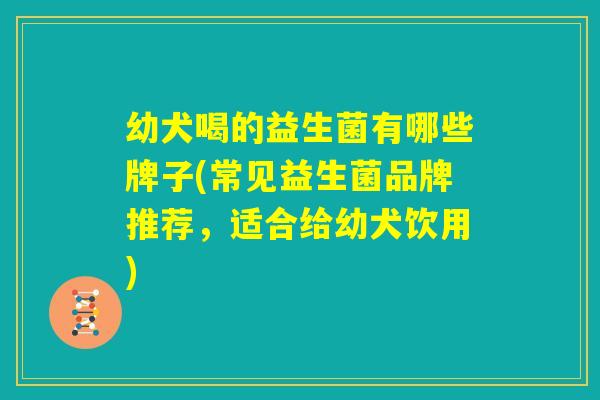 幼犬喝的益生菌有哪些牌子(常见益生菌品牌推荐,适合给幼犬饮用) 幼犬喝的益生菌有哪些牌子(常见益生菌品牌推荐,适合给幼犬饮用)