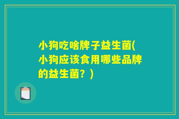 小狗吃啥牌子益生菌(小狗应该食用哪些品牌的益生菌？)