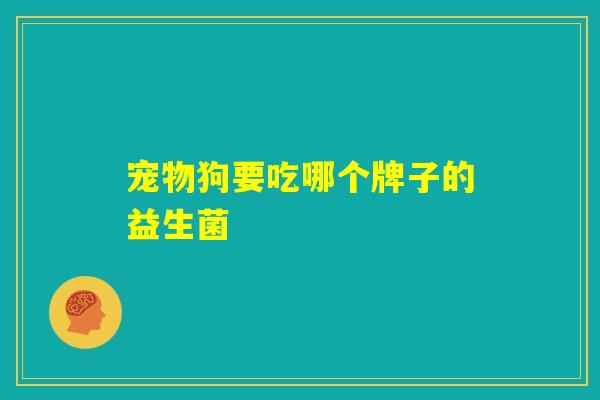 宠物狗要吃哪个牌子的益生菌