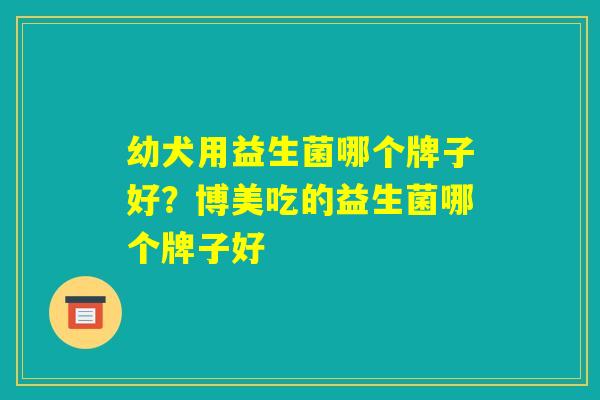 幼犬用益生菌哪个牌子好？博美吃的益生菌哪个牌子好
