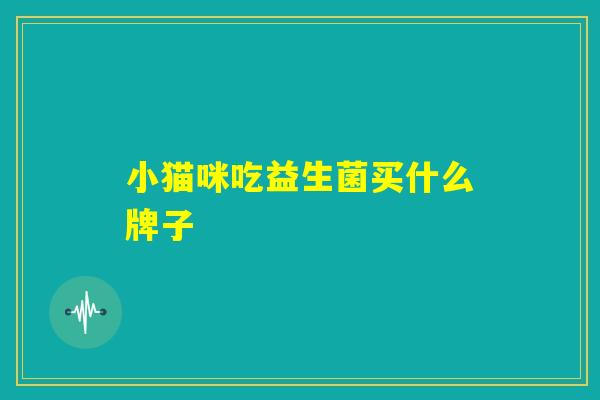 小猫咪吃益生菌买什么牌子