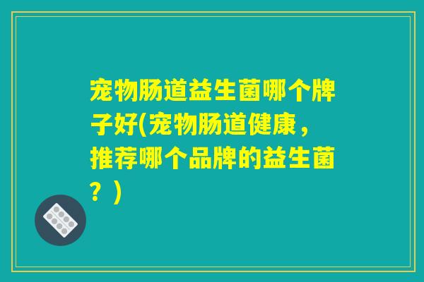 宠物肠道益生菌哪个牌子好(宠物肠道健康，推荐哪个品牌的益生菌？)