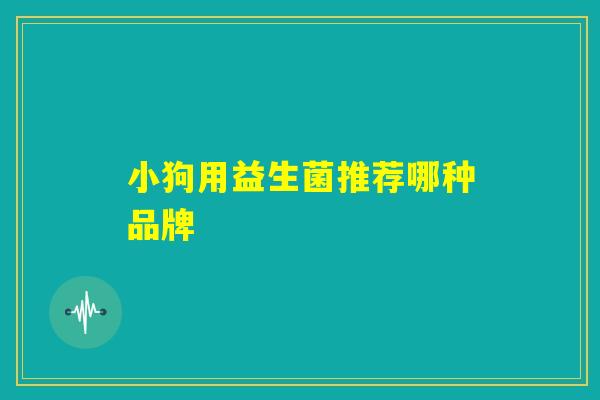 小狗用益生菌推荐哪种品牌