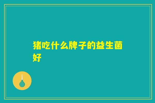 猪吃什么牌子的益生菌好