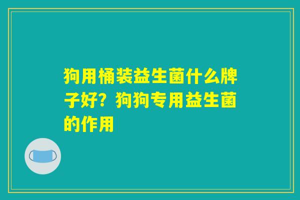 狗用桶装益生菌什么牌子好？狗狗专用益生菌的作用